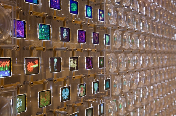 Discovery wall - one among 15 outstanding media architecture projects nominated for the MAB Awards.